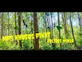 Download Lagu mp3 khusus pikat konin,,anti zonk