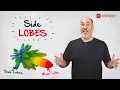 Inside Wireless Side Lobes