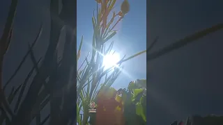     شارد الذهن يسجل حضورا  كاملا  في مكان آخر      اكسبلور  العظماء دندنها