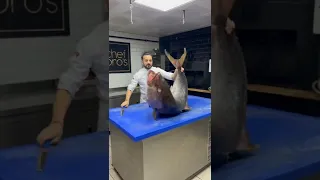 تقطيع سمكه كبيره جدا  تقطيع سمكه كبيره جدا