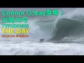 Download Lagu 【台風22号】Connor O'learyが登場！稲村ヶ崎THE DAYセッション