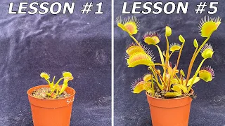 My Venus Flytrap is Learning