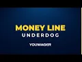 Texans vs Vikings Betting Odds August 9 NFL Preseason Week 1