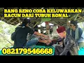 Download Lagu BANG REY LAMPUNG BANG RENO JAGA BAYA PANIK RONAL HAMPIR TEWAS DI HAJAR JARWO ANAK BUAH SETAN MERAH