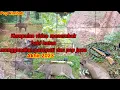 Download Lagu Kumpulan video menembak babi hutan menggunakan unit pasopati dan pcp jawa