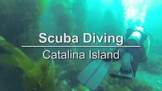 Scuba Diving on Catalina Island, California – Extra, Extra