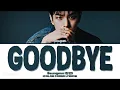 Stray Kids (스트레이키즈) (Seungmin) - 'Goodbye' (Color Coded Lyrics)