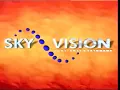 Sky Vision Home Entertainment Logo