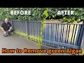 The BEST way to REMOVE green algae in gardens