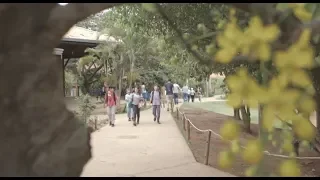 Escola Associativa Waldorf Veredas