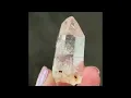 Colombian Lemurian - T 259