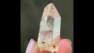 Colombian Lemurian - T 259