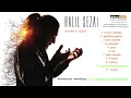 Halil Sezai   Duyanlara Duymayanlara Official Audio