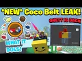 NEW COCO BELT LEAK What It Does Bee Swarm Simulator