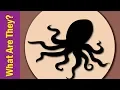 Download Lagu What is it Song |  What are they Song | Is and Are | ESL for Kids | Fun Kids English