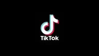 Download KITTYVLOG : TIKTOK KUCING MP3