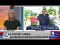 IFA Country Stores Lawn Care and grub prevention