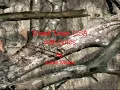 Small Town USA with lyrics- Justin Moore
