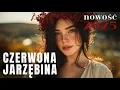 Lagu CZERWONA JARZĘBINA 🍁🍁🔥🔥 NOWA WERSJA REMIX 2025 #biesiada #muzykaludowa