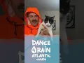 Download Lagu Dance 4 Rain - Atlantic Canada  (11am 09-13-2025)