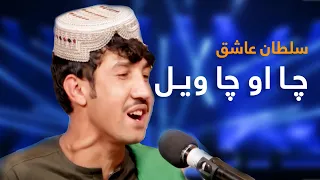                                                    چا او چا ویل پښتو مسته سندره   سلطان عاشق دندنها