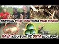 Download Lagu Mukbang K3CU-BUNG BUSUK..!!!! SAMA @HERUGUNDULJejaksigundul