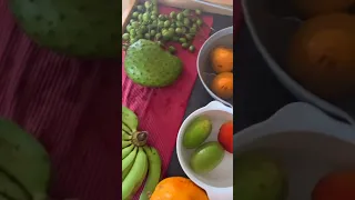 Local Grenadian kindness! 🇬🇩 #boatlife #caribbean