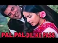 PAL Pal Dil Ke Pass l Dharmendra l Rakhee l cover song by Sneha Saha 