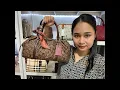 Download Lagu WOW MASUK LAGI TAS SULTAN,BAJU BANGKOK😍RH BAG COLECTION sedang live sekarang!