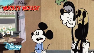 perfume da minnie vovozinha e loucura em mumbai mickey mouse