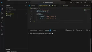 Run Multiple NPM Scripts With ONE Command