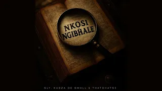 sly kabza de small u0026 thatohatsi nkosi ngibhale official audio