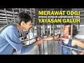 Download Lagu Merawat Pasien Sakit Jiwa