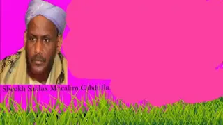 Dabeecada Iyo Akhlaaqda Wanagsan By Sheikh Salax Macallin 