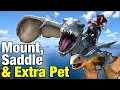 How to Get New WYVERN MOUNT Extra Pet in Crimson Desert