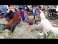 Download Lagu Putih salju super di bandrol 500 k di pasar mayang