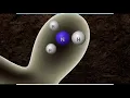 BIOLOGICAL NITROGEN FIXATION