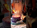 Download Lagu Cerita Sedih Seorang Dokter Menyalakan Lilin untuk Seekor Kucing Kecil yang sakit dan Berani 🎂💔