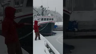 Our Sailboat Is Frozen Into the Harbor ❄️⚓️ #shorts #boats #winter