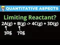 Limiting Reactant Grade 11 Introduction