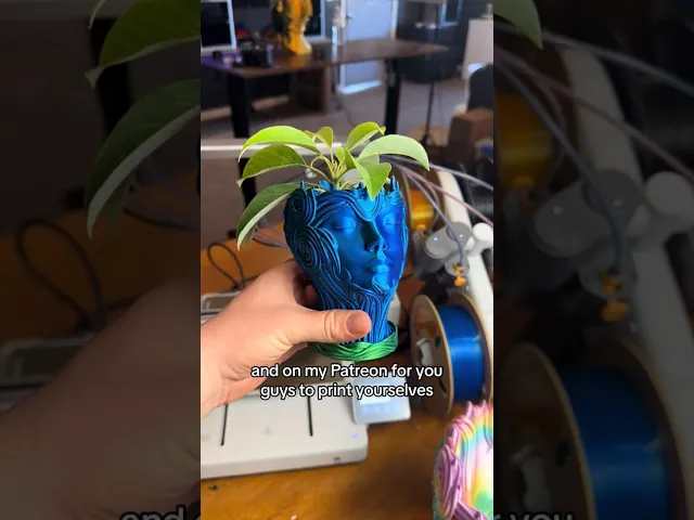 Woman's Head Planter Vase With Drain Holes and Water Catch Tray SUPPORT FREE video thumbnail