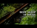 Relax Your Mind in Minutes 10 Hours of Soothing Water Sounds