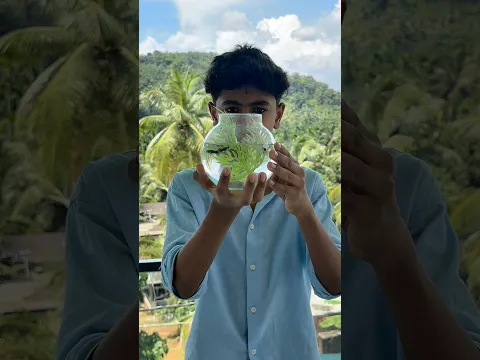 ചെറിയ ഒരു Fish Tank മേടിച്ചു 😱🐠