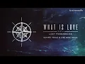 Lost Frequencies - What Is Love 2016 (Dimitri Vegas & Like Mike Remix)