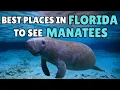 10 Best Places to See Manatees in Florida