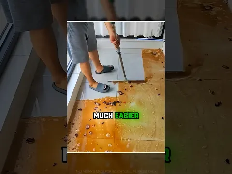 this is the best Japanese gadget to clean house