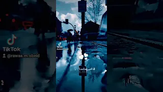 طال انشغالي وياك يا غالي حالات واتس Explore قمرين Love عمرو اديب 