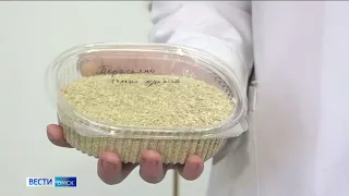 Ученые Омского политеха разработали новый способ получения целлюлозы