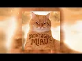 MONTAGEM MIAU (Slowed) - Lenar · Leonardo P