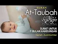 Download Lagu MERDU ♥️ MUROTTAL SURAT AT TAUBAH JUZ 10 - FULL TEKS DAN TERJEMAH - Kuntriksi Ellail